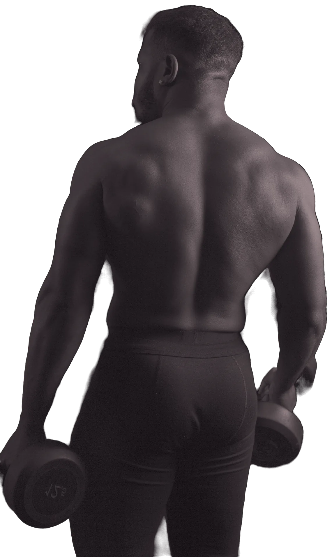 A man photographed from behind, a dumbbell in each hand.